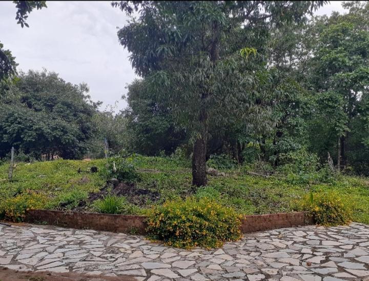 Sitio Sao Benedito Pirenópolis المظهر الخارجي الصورة